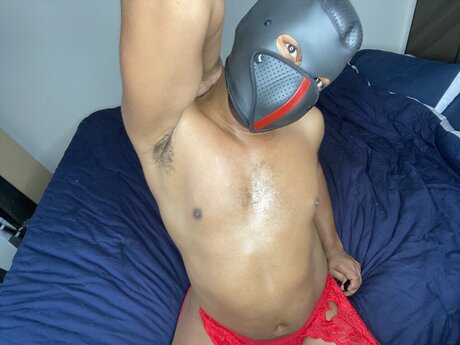 TEZ EROTICA star perfect img