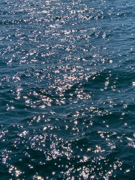 Iggyc free model images