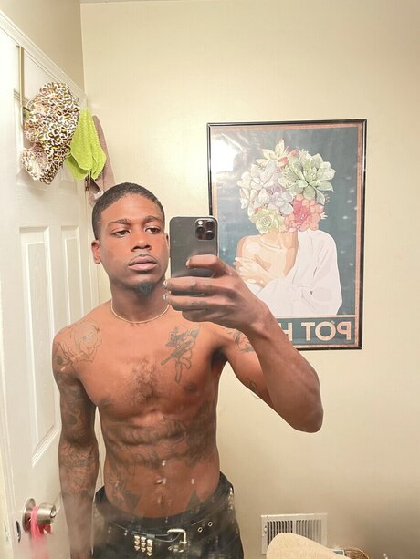 thebiggestbilly star beautiful galleries