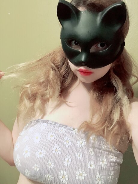 Kittengal2014 sexy star archive