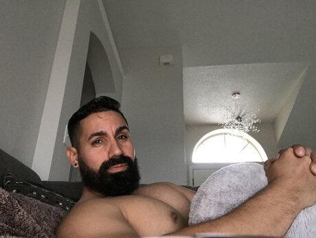 Apolo1981 free pornstar picture