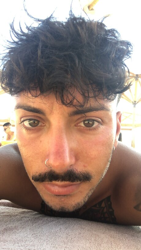 Matt palmiro hd actress photo