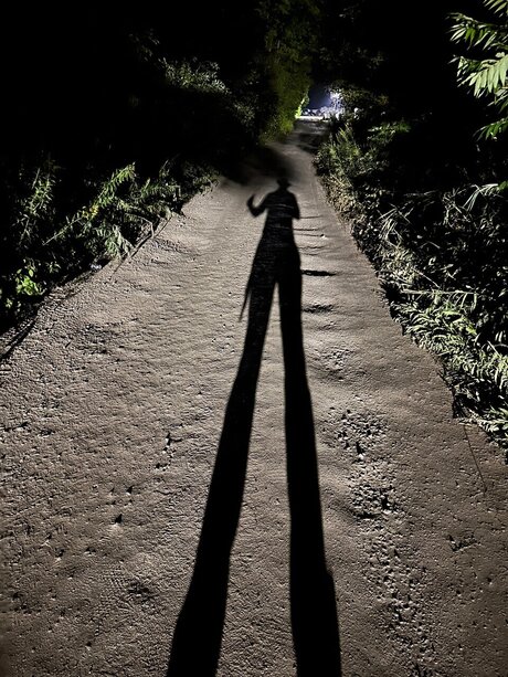 Double Dick star nude img