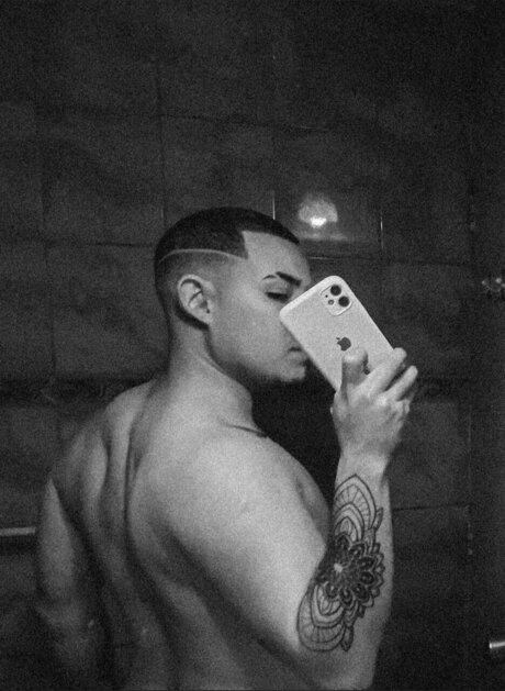 Steeef star top galleries