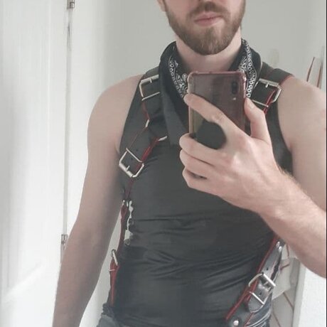 I Train Mutts high quality star img