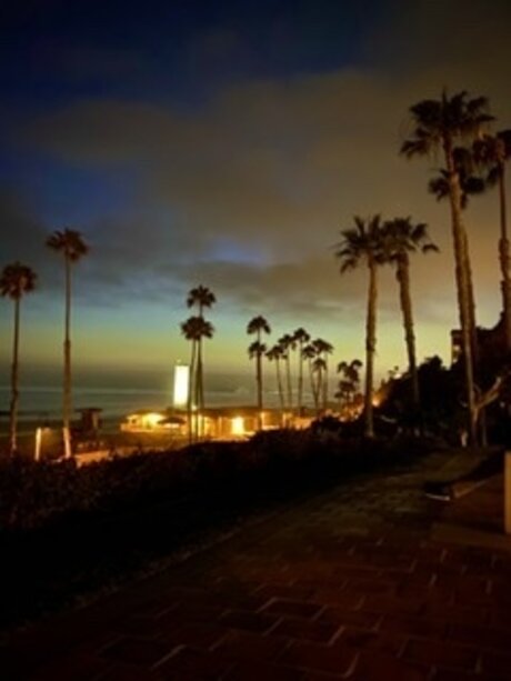 cxrxvx star xxx picture