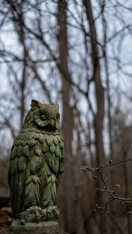 gore4gore adult model pic