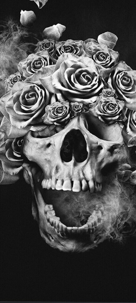 Bright Eyes model art pic