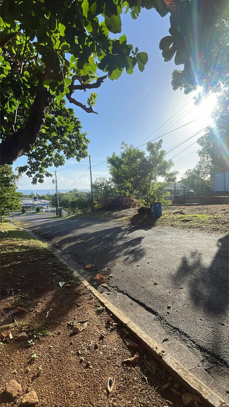 Paradise high quality model picture