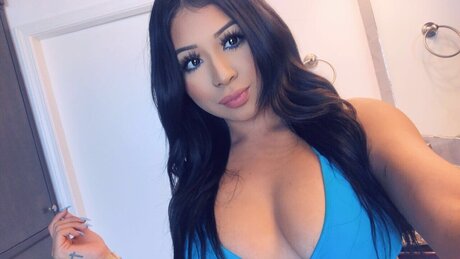 Hollabby star perfect gallery