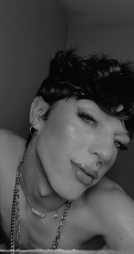 William Taylor pornstar art pictures