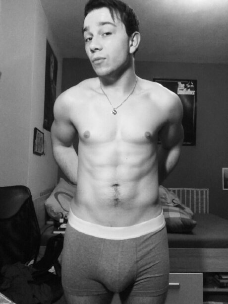 Mr Bulls model top archive