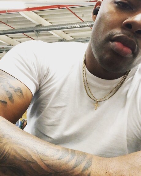 PapiJr nice star galleries