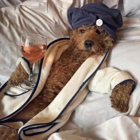 Thick Guy model sex photos