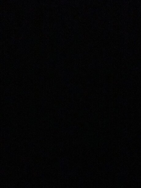 Danny Quintanilla sexy pornstar archive