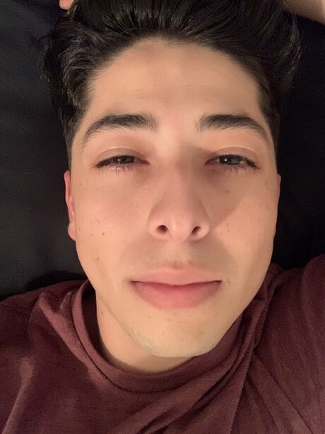 Socko pornographic actress galleries