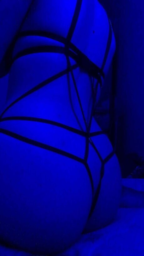 _dex_ star adult archive