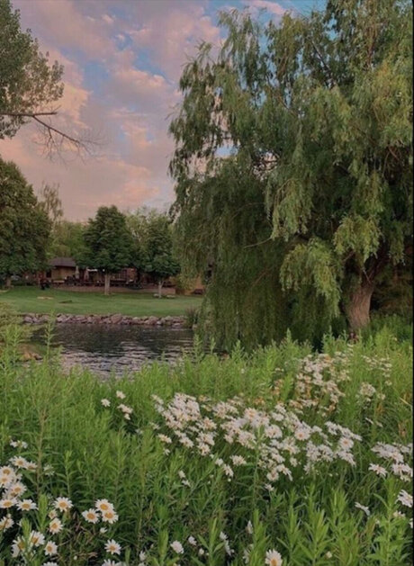 Cxs spxt best actress images