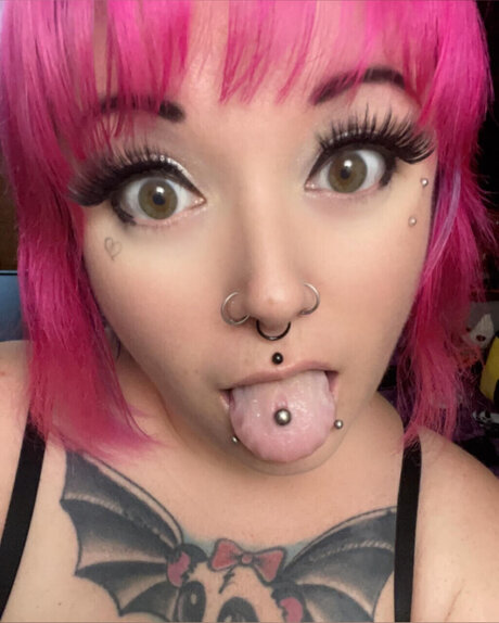 _Panda Bat_ star perfect gallery