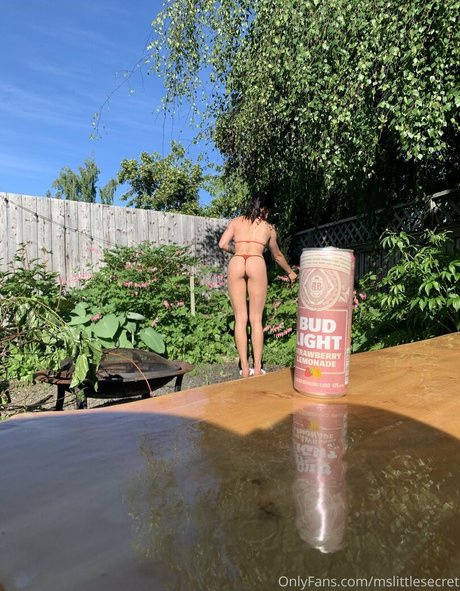 mslittlesecret model art pic