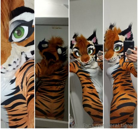 feral tigress hd star photo