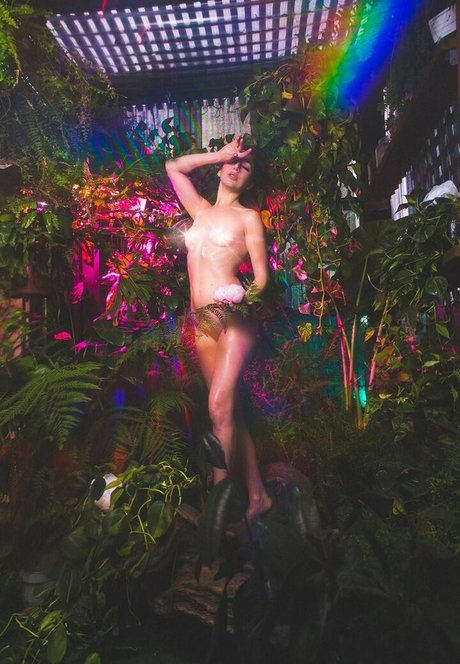 Monica May art star gallery