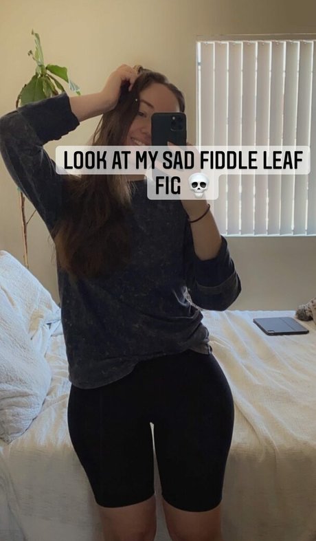 Michelle T nudes pornstar galleries