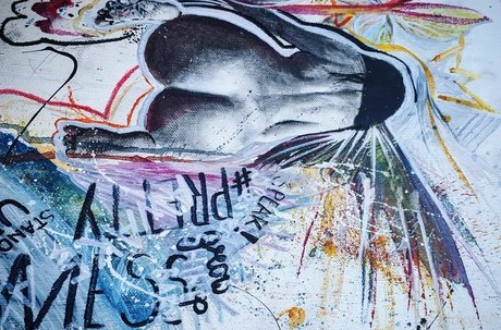 artnvenom star hd galleries