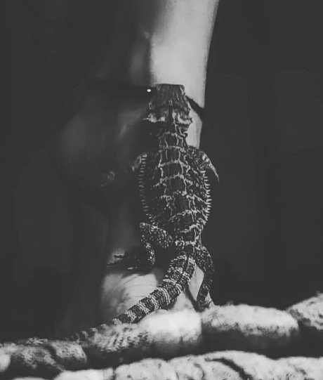 artnvenom model xxx pictures