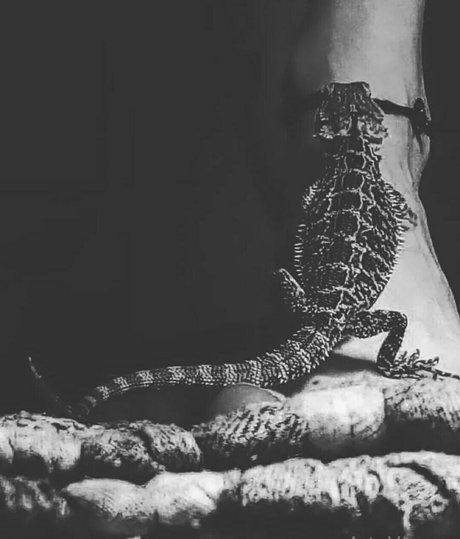 artnvenom nice star pics