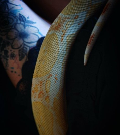 artnvenom hot model photo