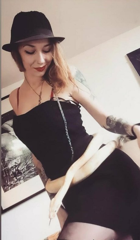 artnvenom star perfect image