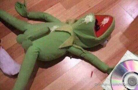 roniiflores model xxx pic