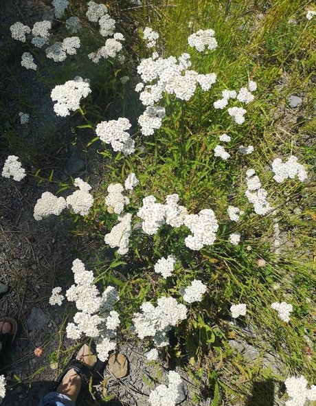 Natie Del model hd photo