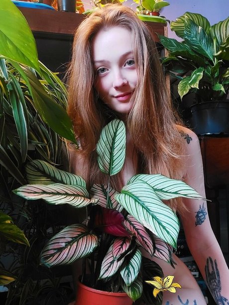 sleepyvegan best model image