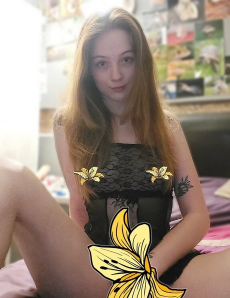 sleepyvegan star hd img