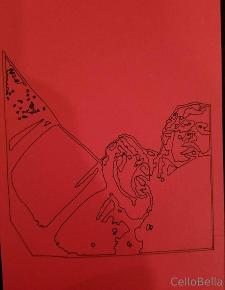 cellobella7 naked star img