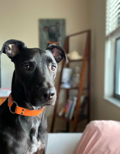 brycesgfkatya beautiful actress photo