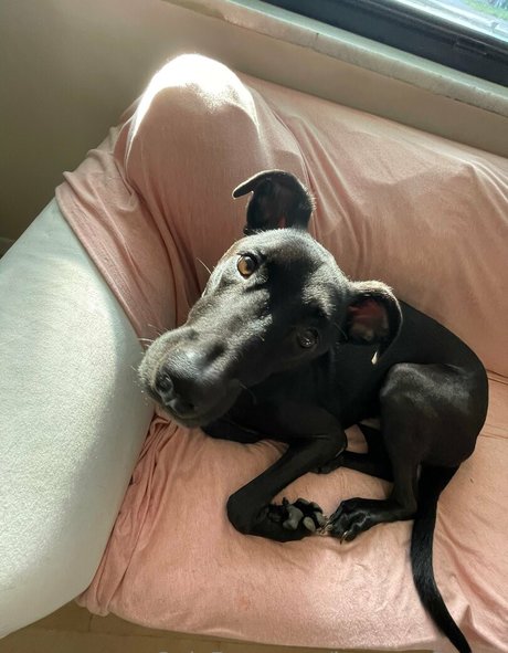 brycesgfkatya naked actress archive