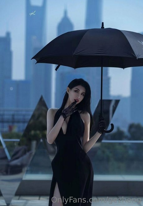 gezheng art model image