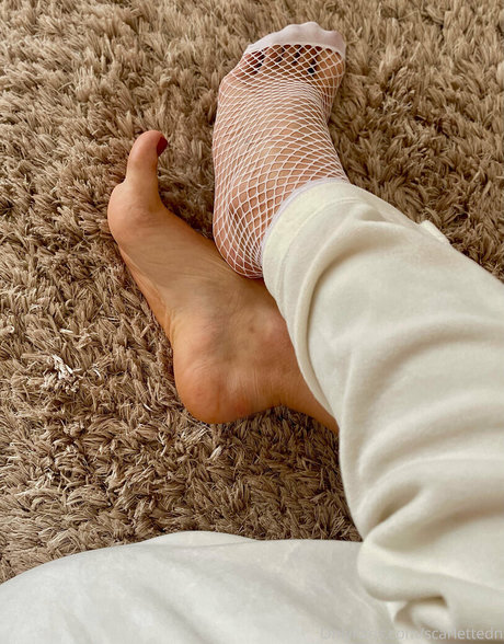 scarlettedn porn actress gallery