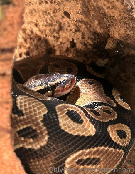 jeannnnnnn actress gallery