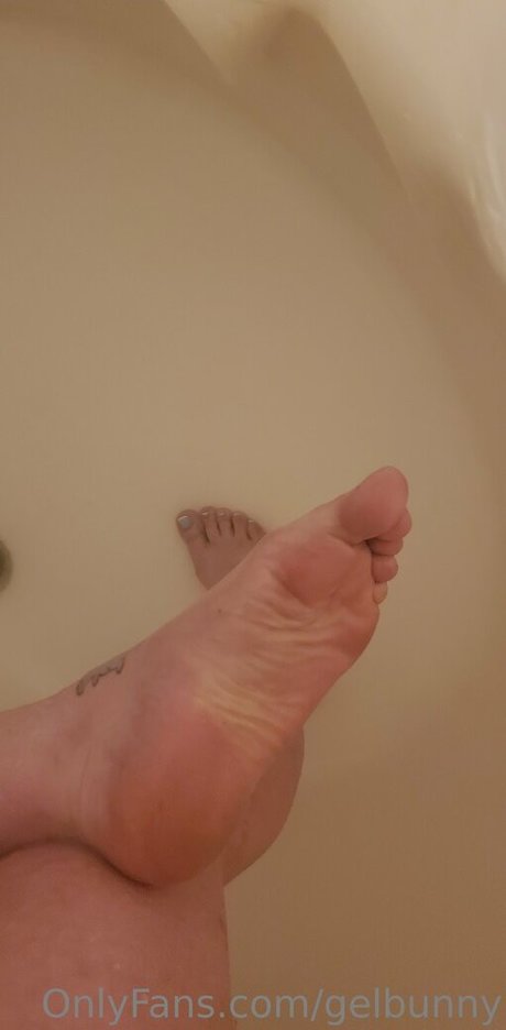 gelbunny star top photo