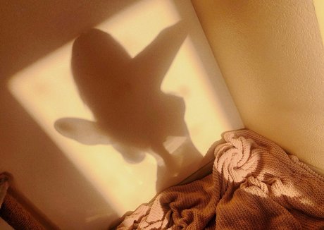 Rachel Blossom actress photo