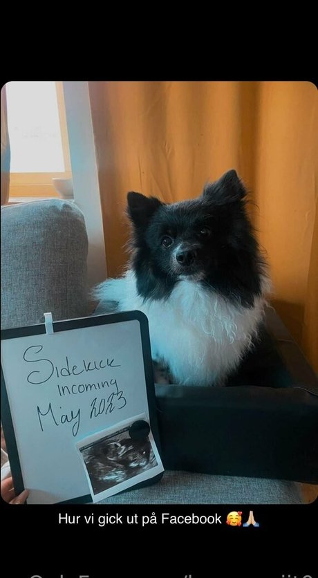 hannasaiit0 pornstar xxx photos