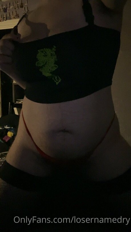 losernamedry model image