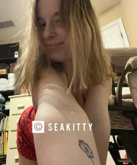 Seakitty top model image