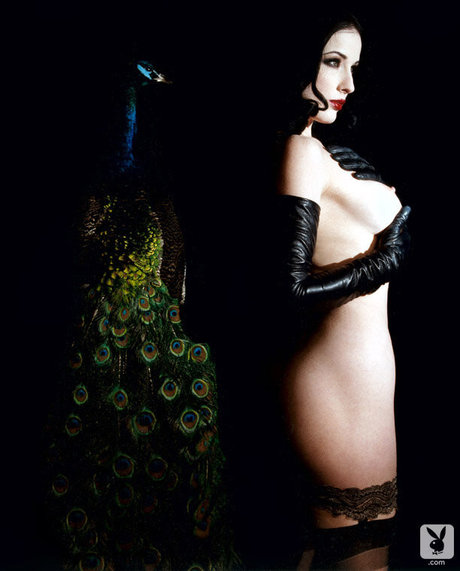 Dita Von Teese pornstar naked images