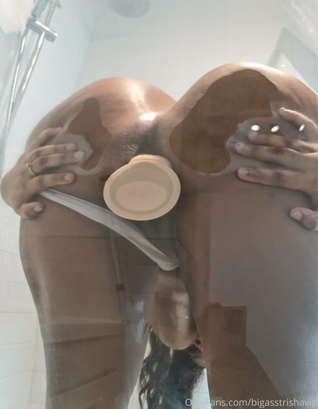 bigasstrishavip beautiful pornstar galleries