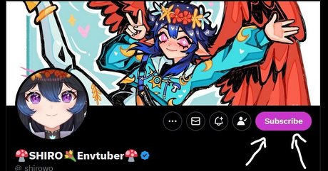 Shiruwu model art galleries